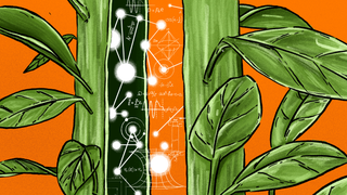 Is Plant 'Intelligence' Just a Human Fantasy?
